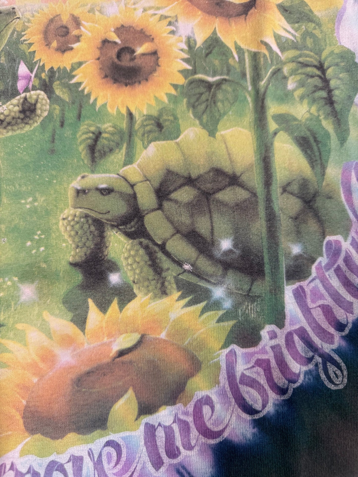90s Greatful Dead Terrapin Turtle Tee Sz L